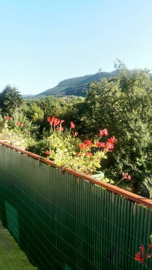 Bed and Breakfast Au Gre Des Sentiers Chez Marie Et Pierre Saint-Die-des-Vosges Exterior foto